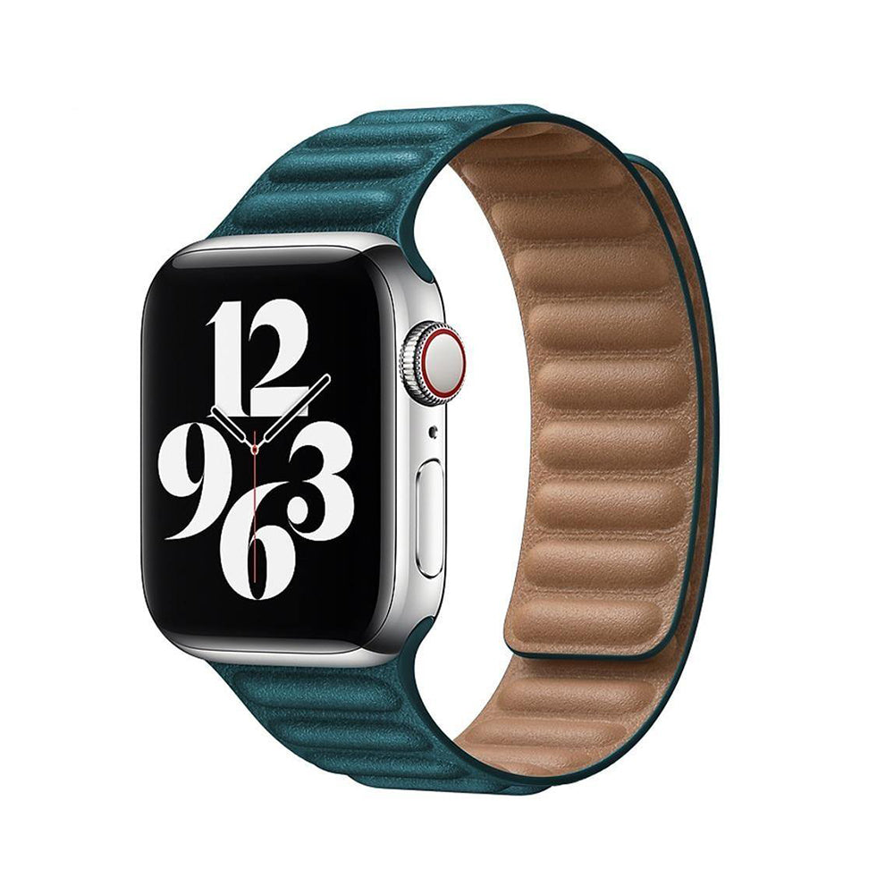 Apple watch bands 42mm clearance magnetic loop