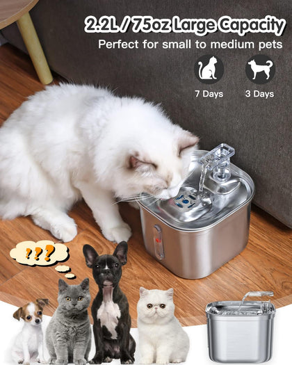 Cat Water Fountain, 2.2L Stainless Steel Pet Fountain with Quiet Pump, Cat Drinking Fountain with Water Level Window Automatic Cat Water Dispenser