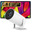 Mini Projector With 100