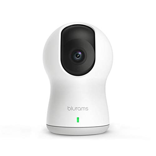 Blurams A30C Security Camera 1080P Dome Pro with Motion, Sound Detection, Night Vision, Two-Way Audio Dome Camera [360 Camera Full Rotation]